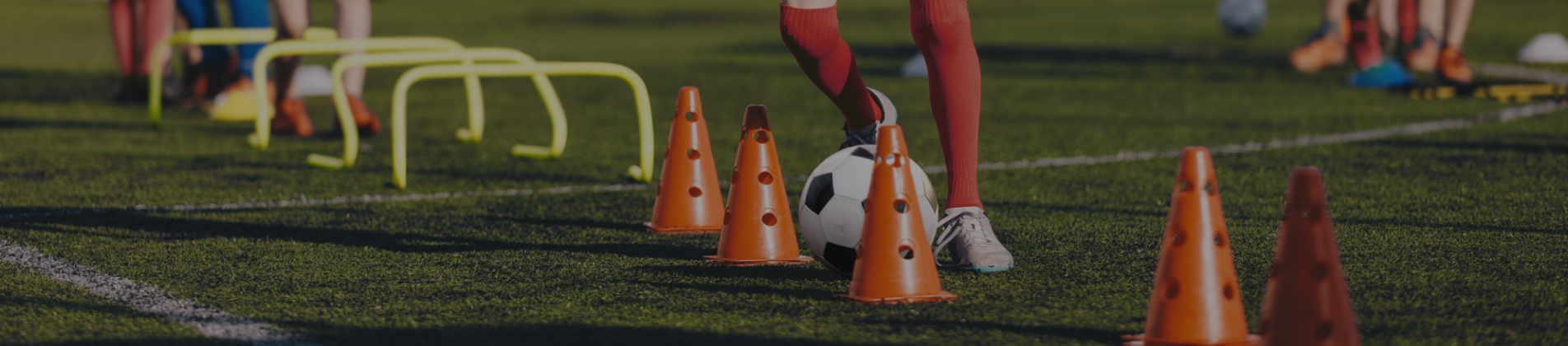 banner_course